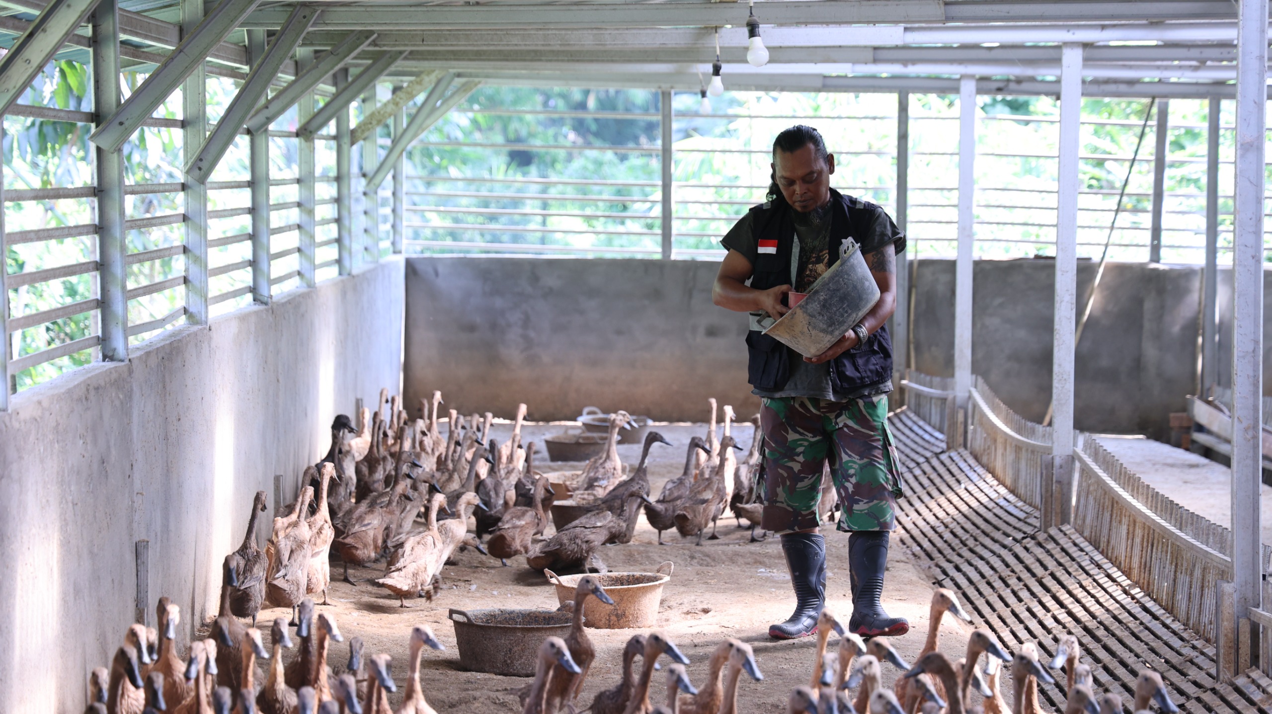 Bangun Ekonomi Lokal Berkelanjutan, PTBA Tingkatkan Kompetensi Kelompok Budidaya Itik Petelur