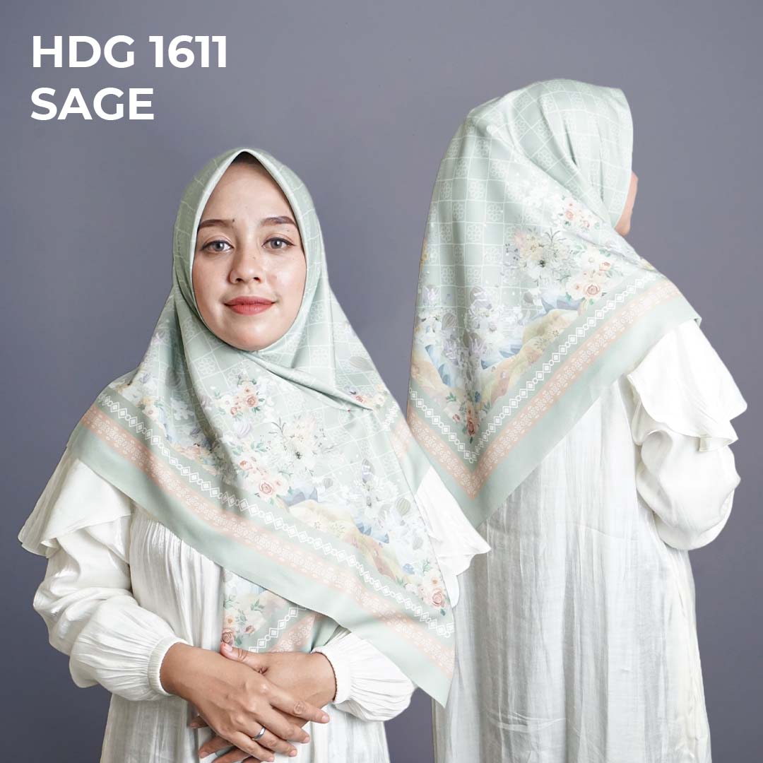 H DG 1611 SAGE