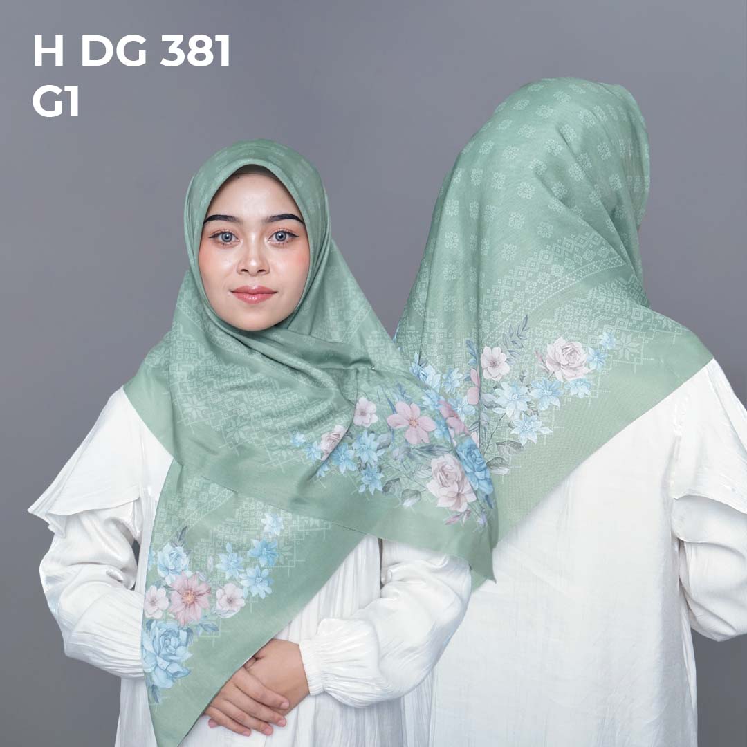 H DG 381 G1