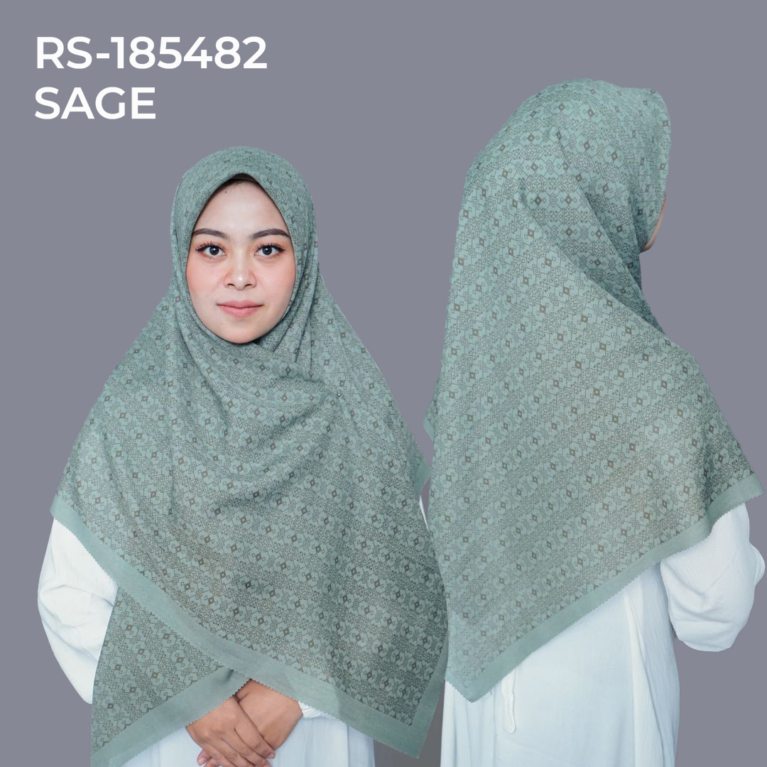 RS-185482 SAGE
