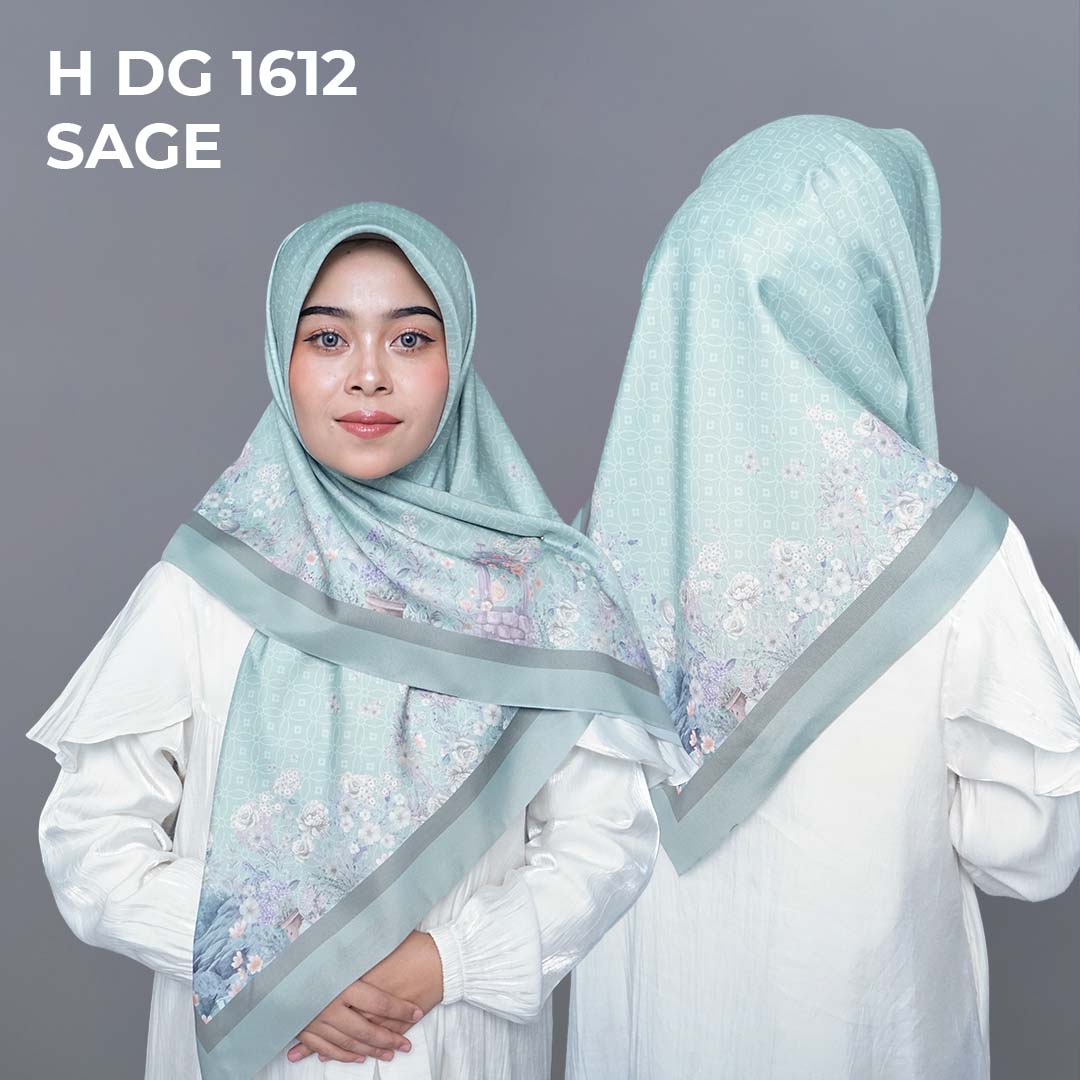 H DG 1612 SAGE