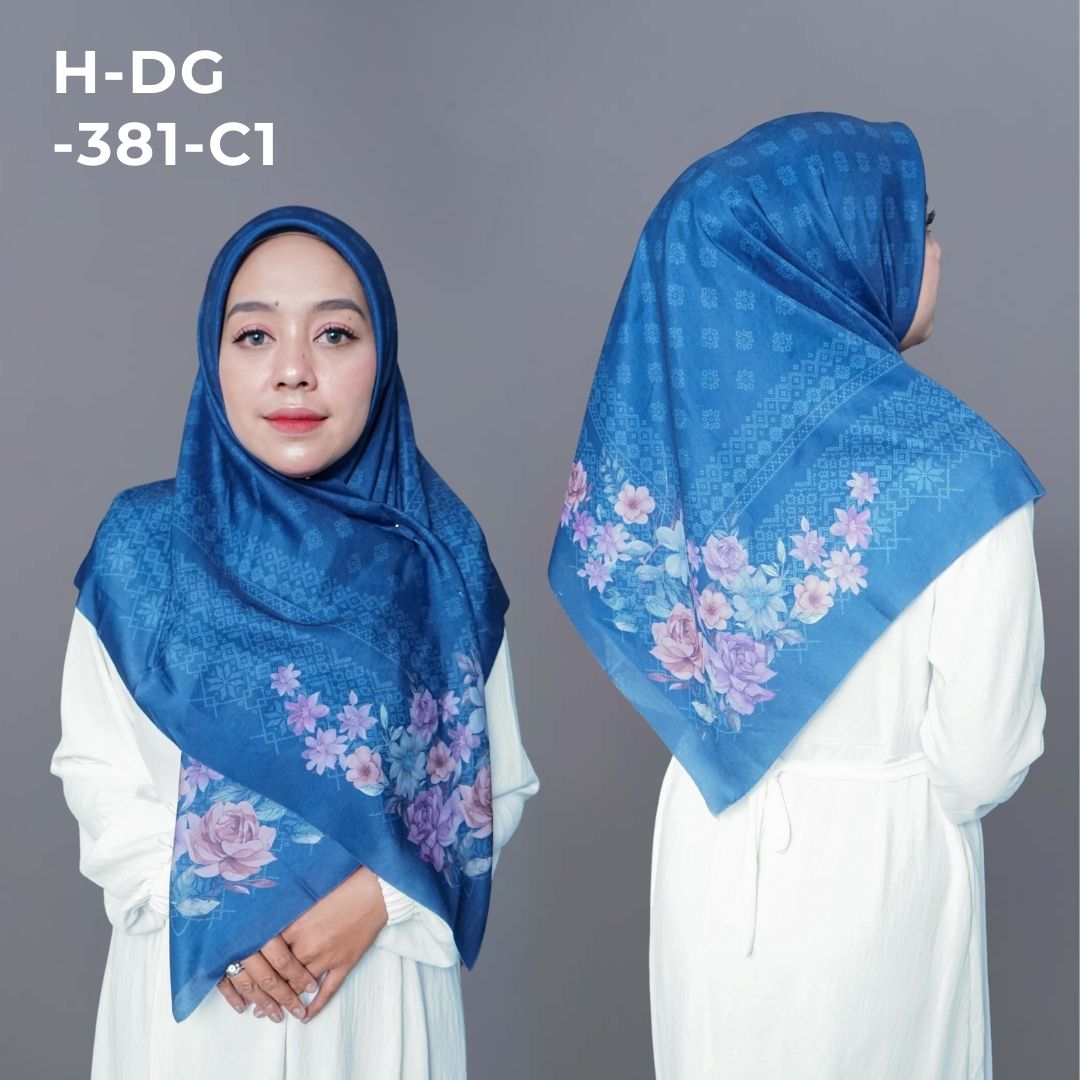 H DG 381 C1