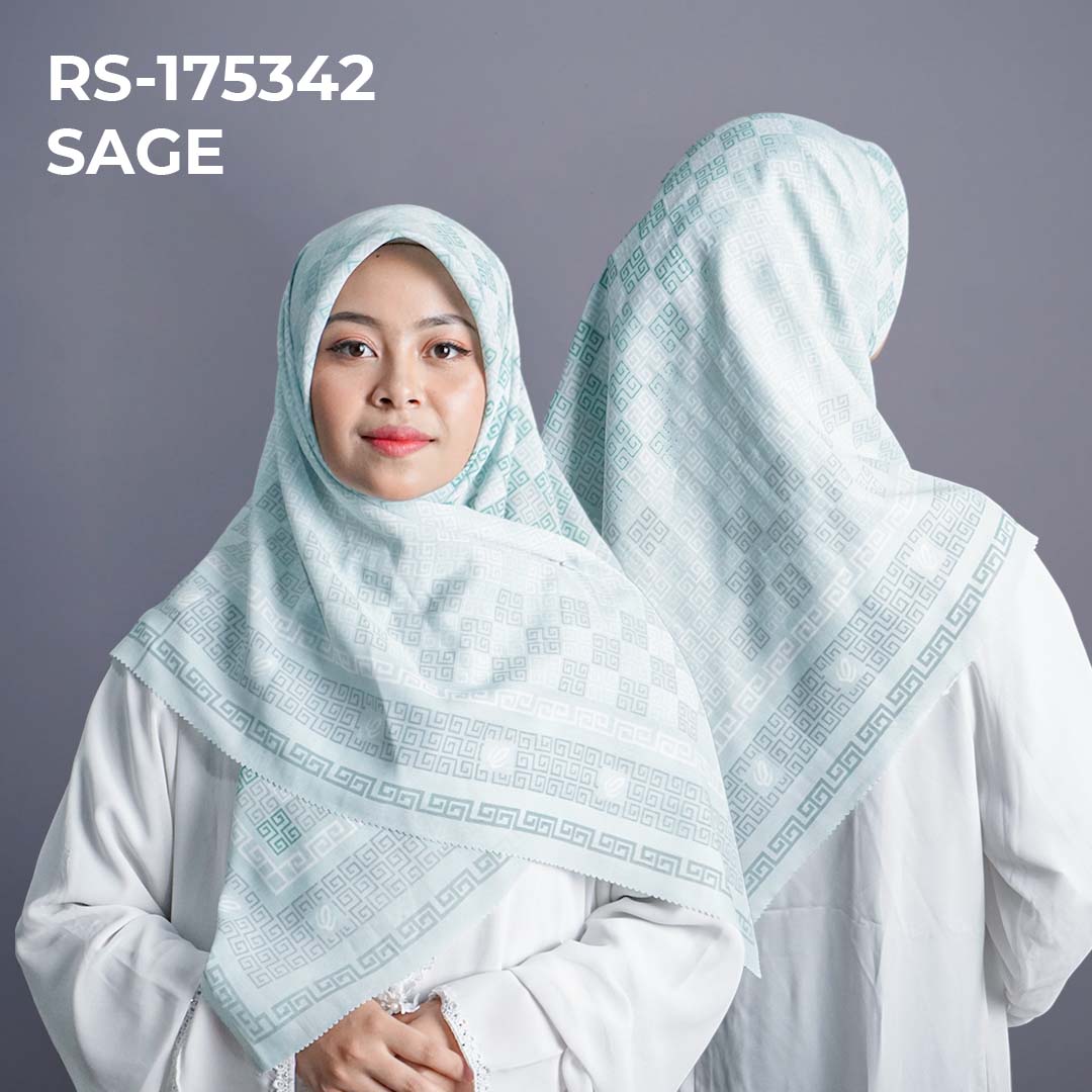 RS-175342 SAGE