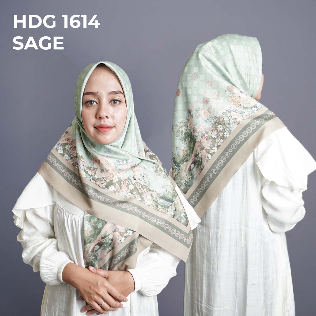 H DG 1614 SAGE