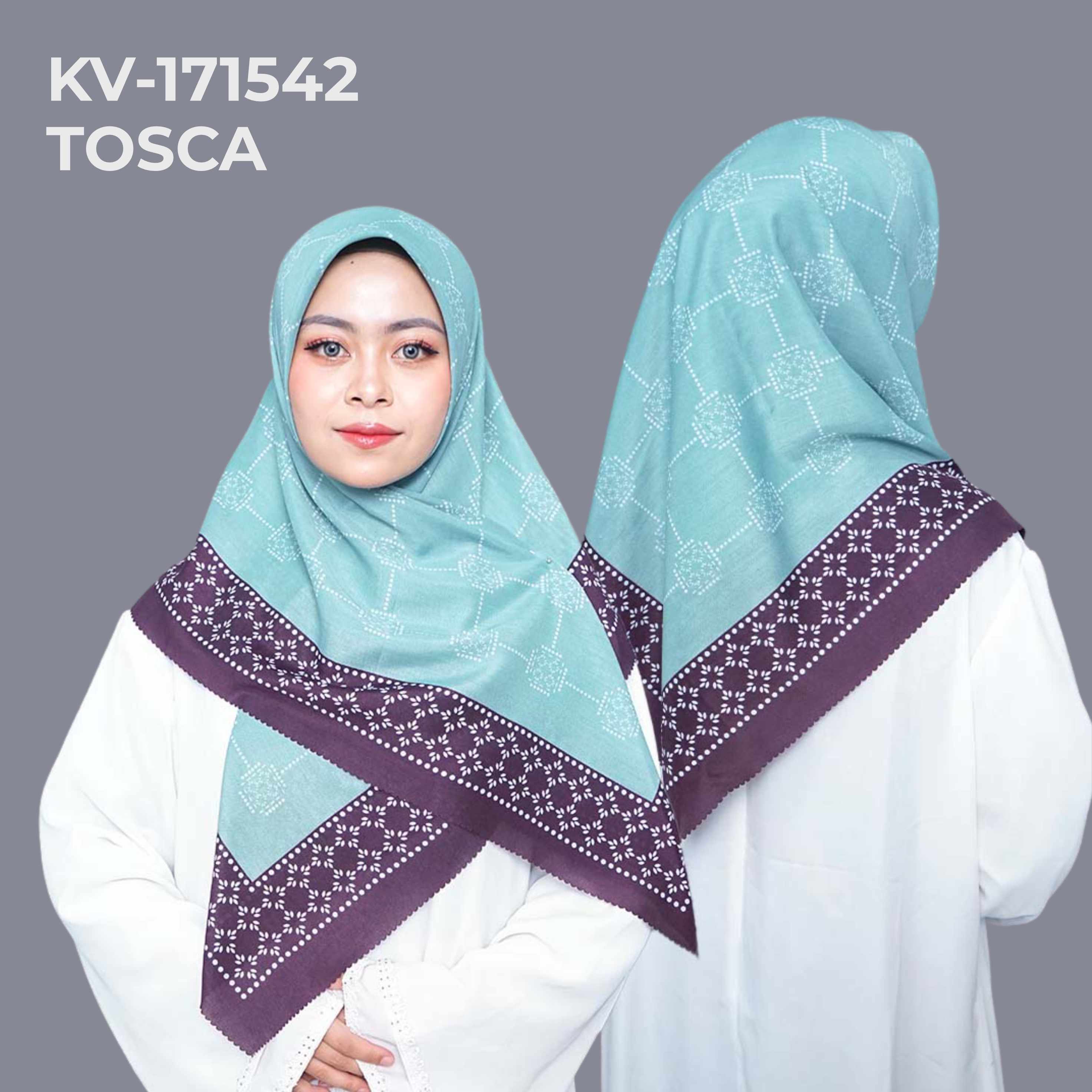 KV-171542 TOSCA