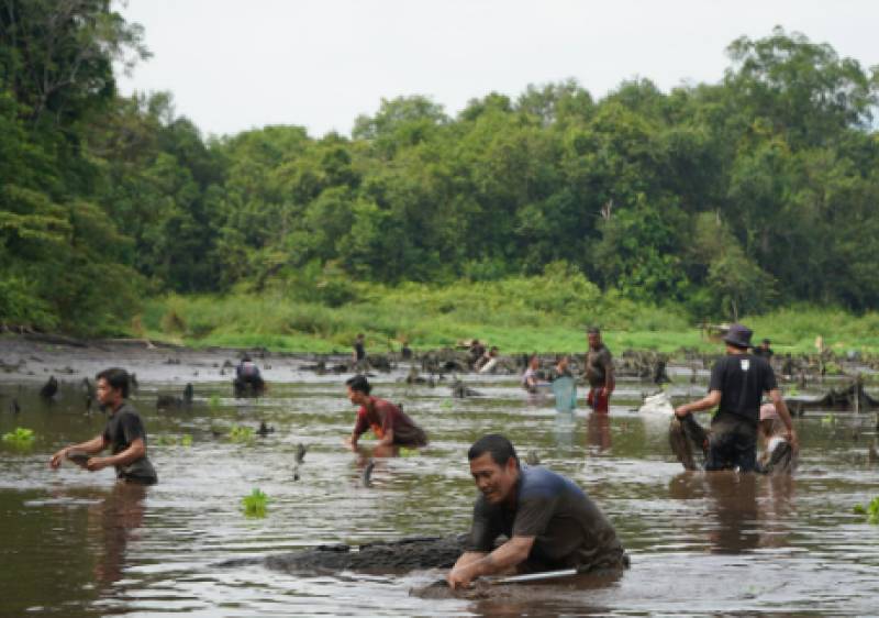 Ramai Berduyun-duyun, Civitas Akademika FPK Panen Raya Ikan di Waduk