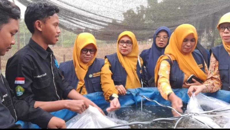 Pengembangan Aquapreneurship: Dosen FPK, Budidaya Ikan Lele Mutiara Sistem Bioflok