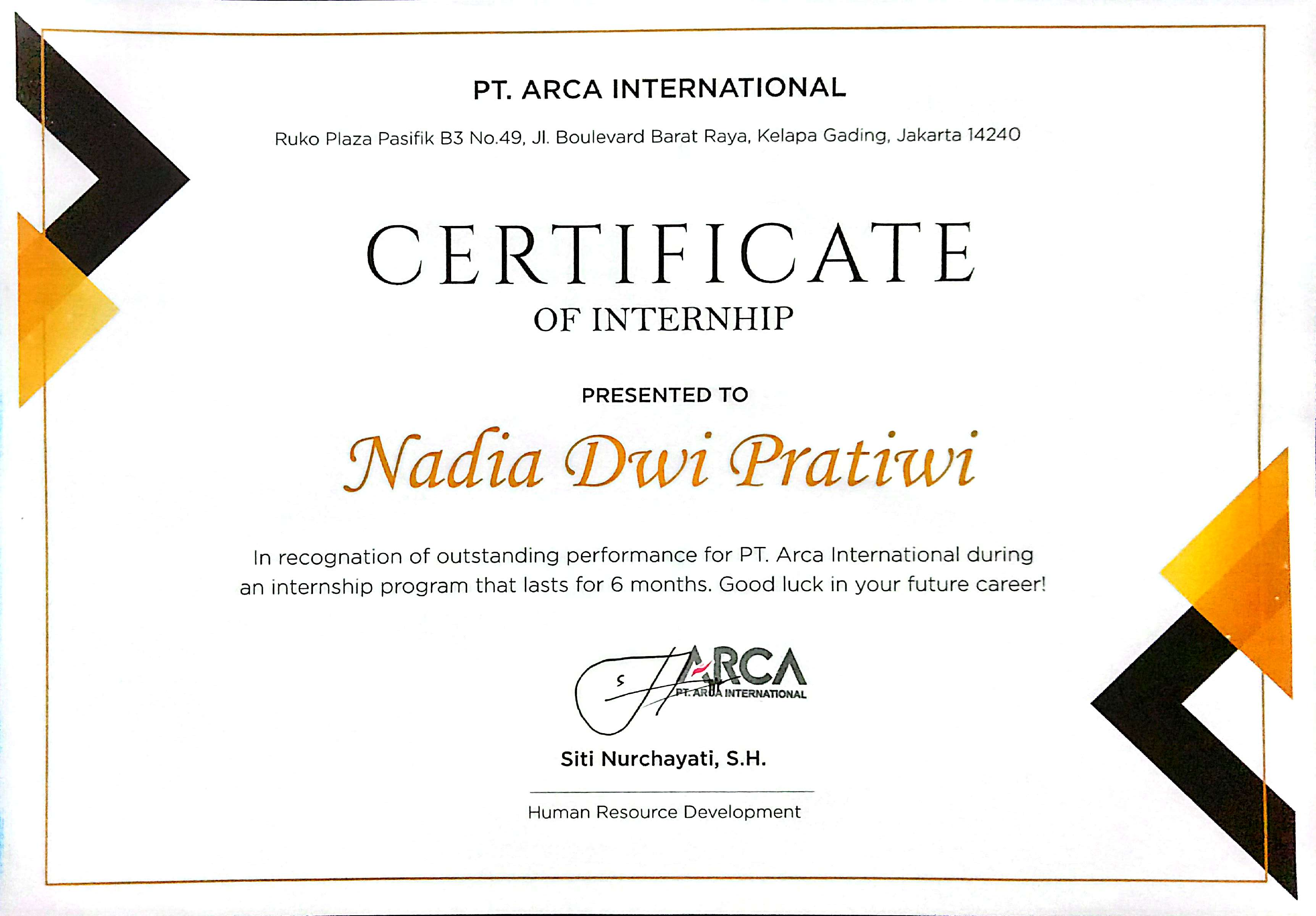 PT. Arca International - Praktik Kerja Lapangan