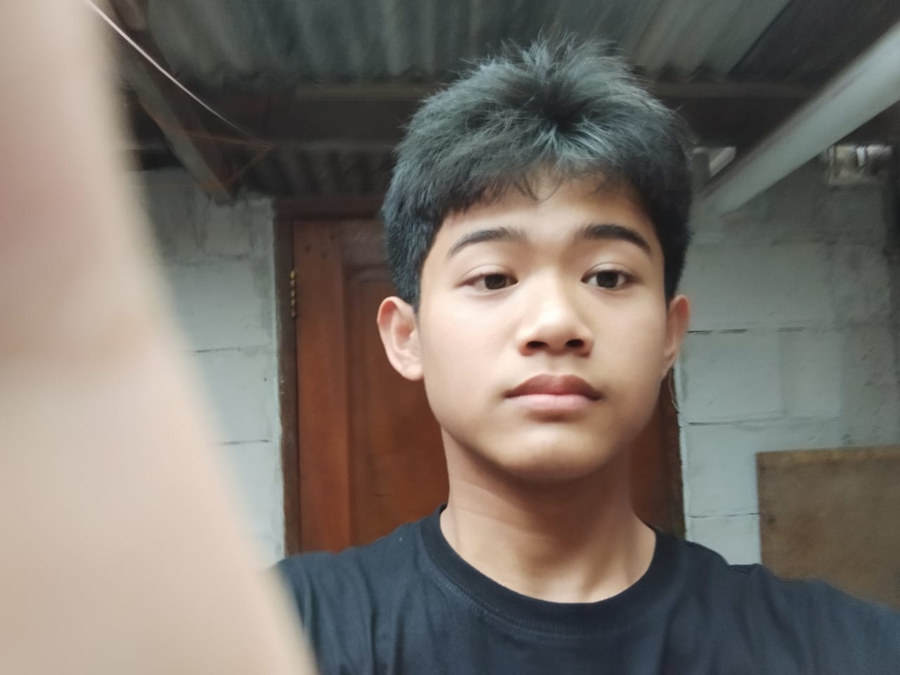 Ariel Ford Hastipardji