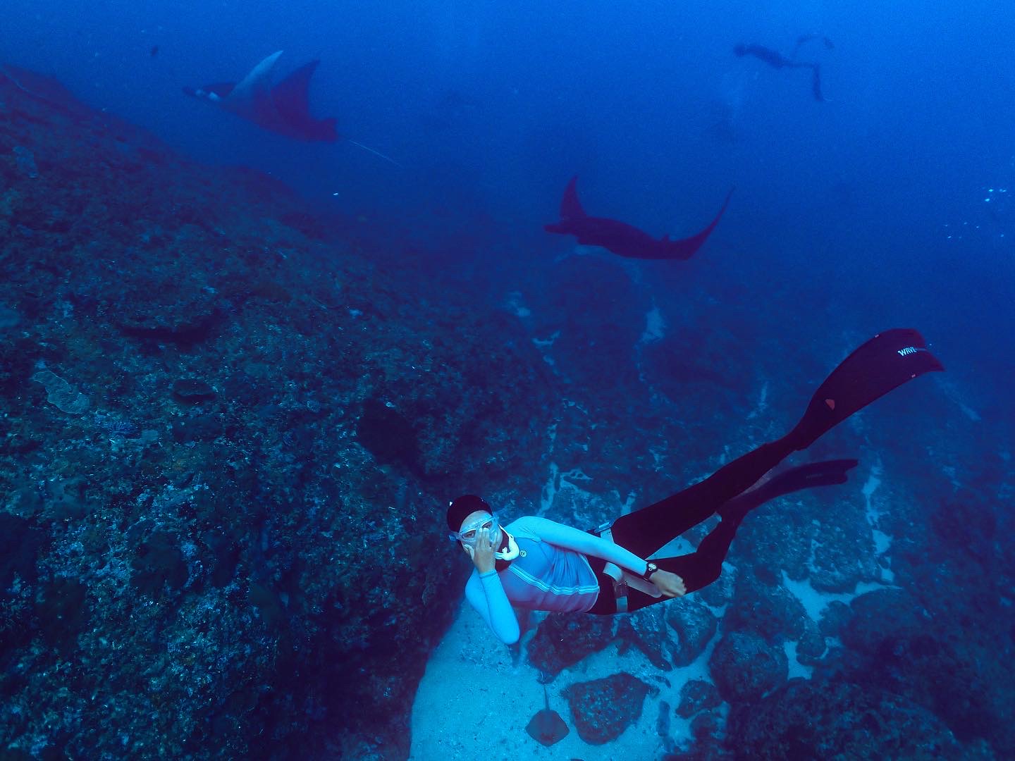 Manta Encounter