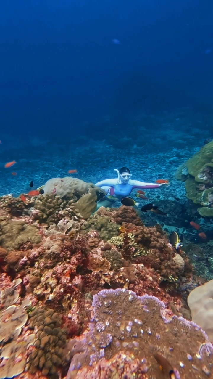 Manta Encounter