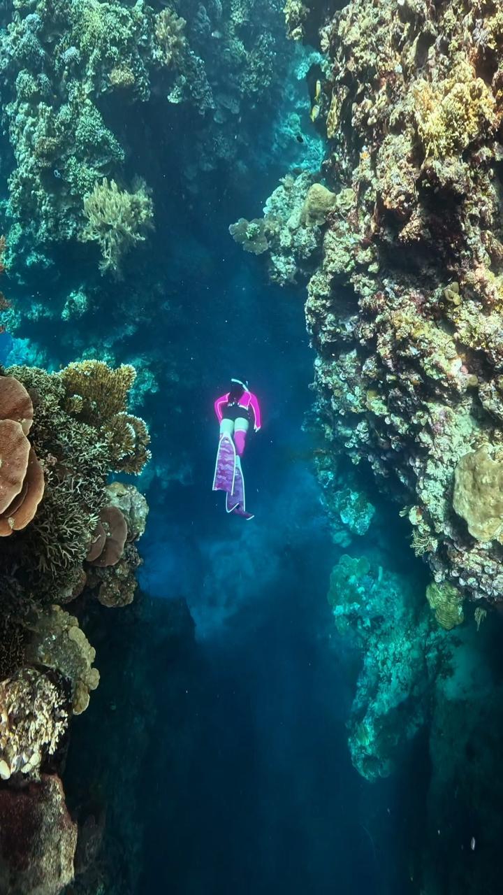 Menjangan Island