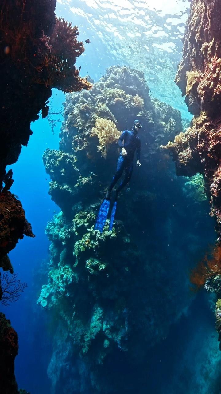 Menjangan Island