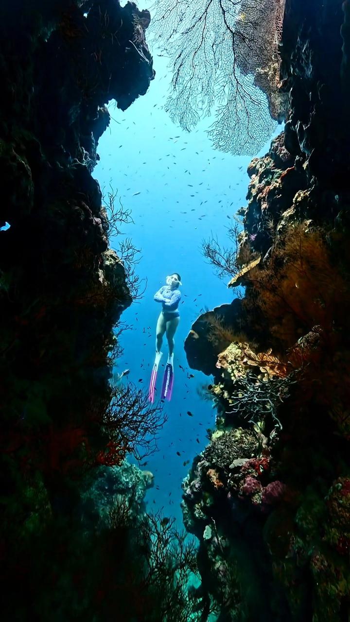 Menjangan Island