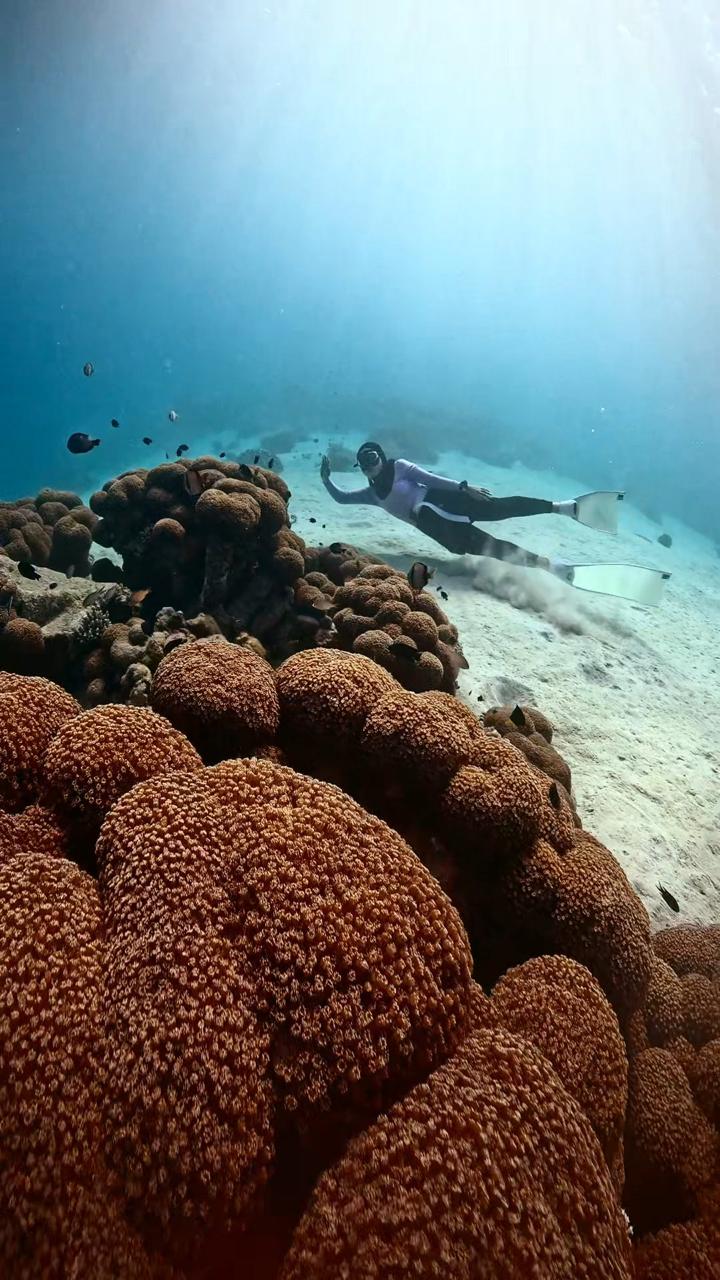 Menjangan Island