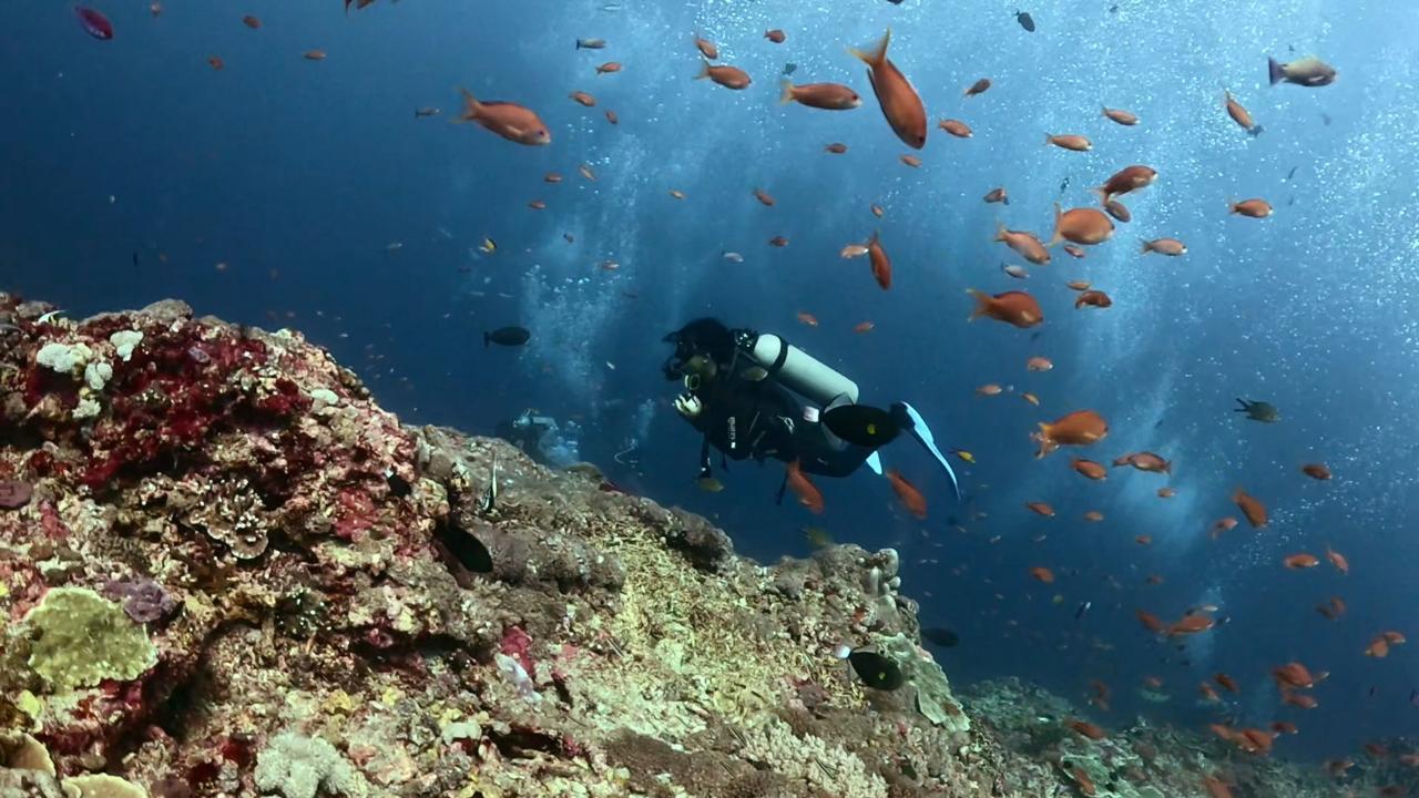 Scuba Diving Nusa Penida
