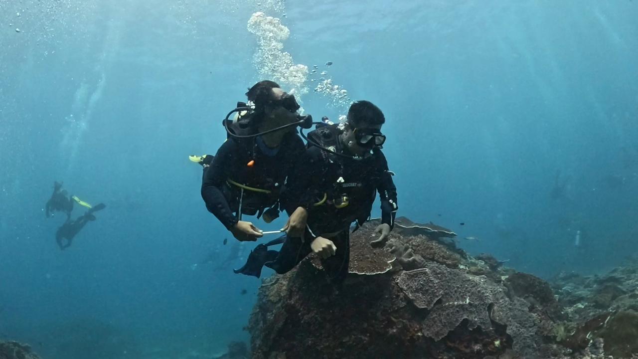 Scuba Diving Nusa Penida