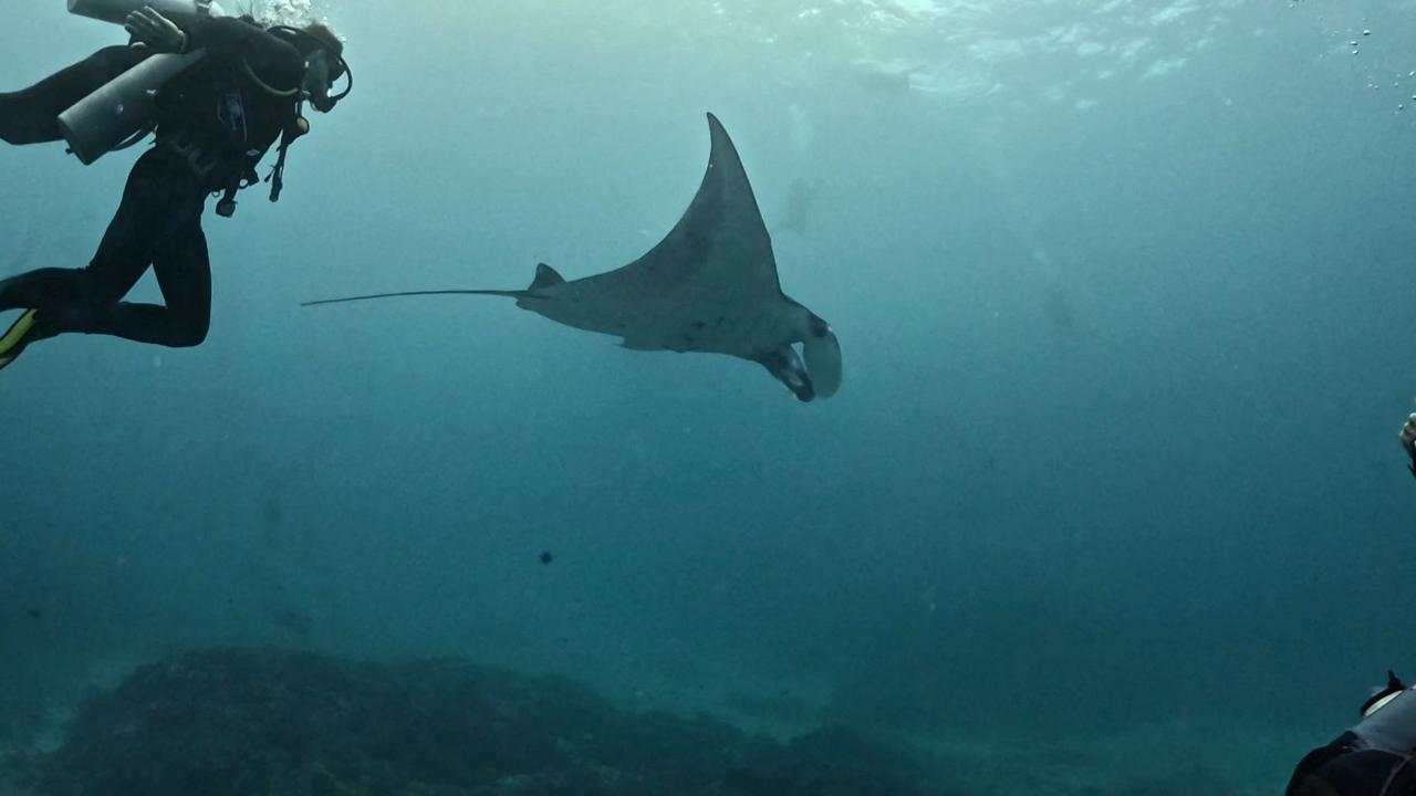 Scuba Diving Nusa Penida