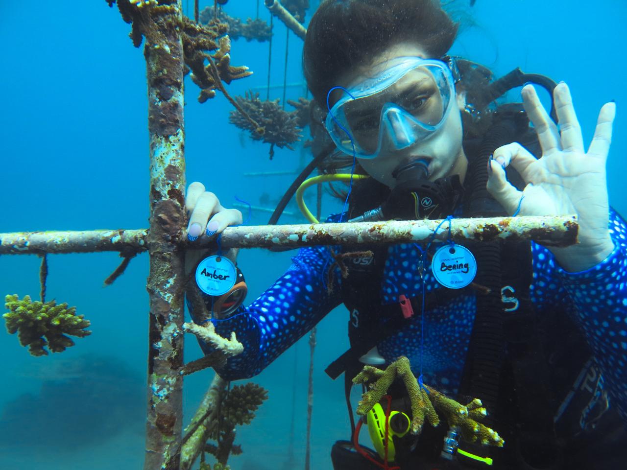 Eco Scuba Diving: Coral Restoration Edition