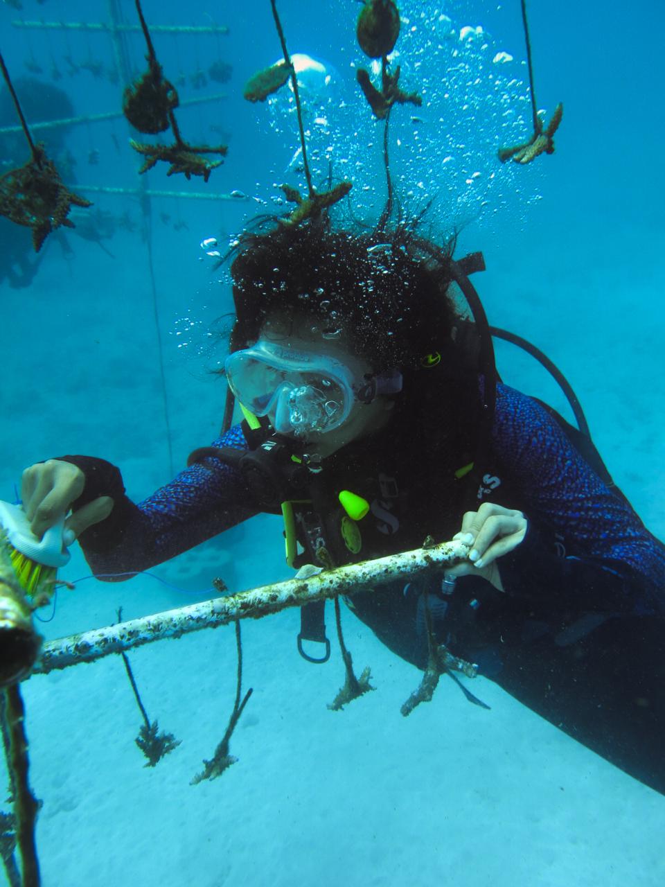 Eco Scuba Diving: Coral Restoration Edition