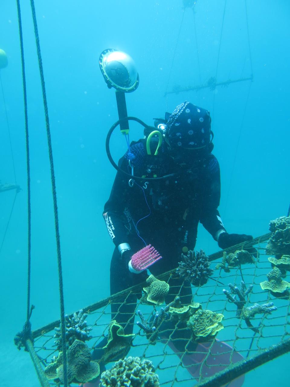 Eco Scuba Diving: Coral Restoration Edition