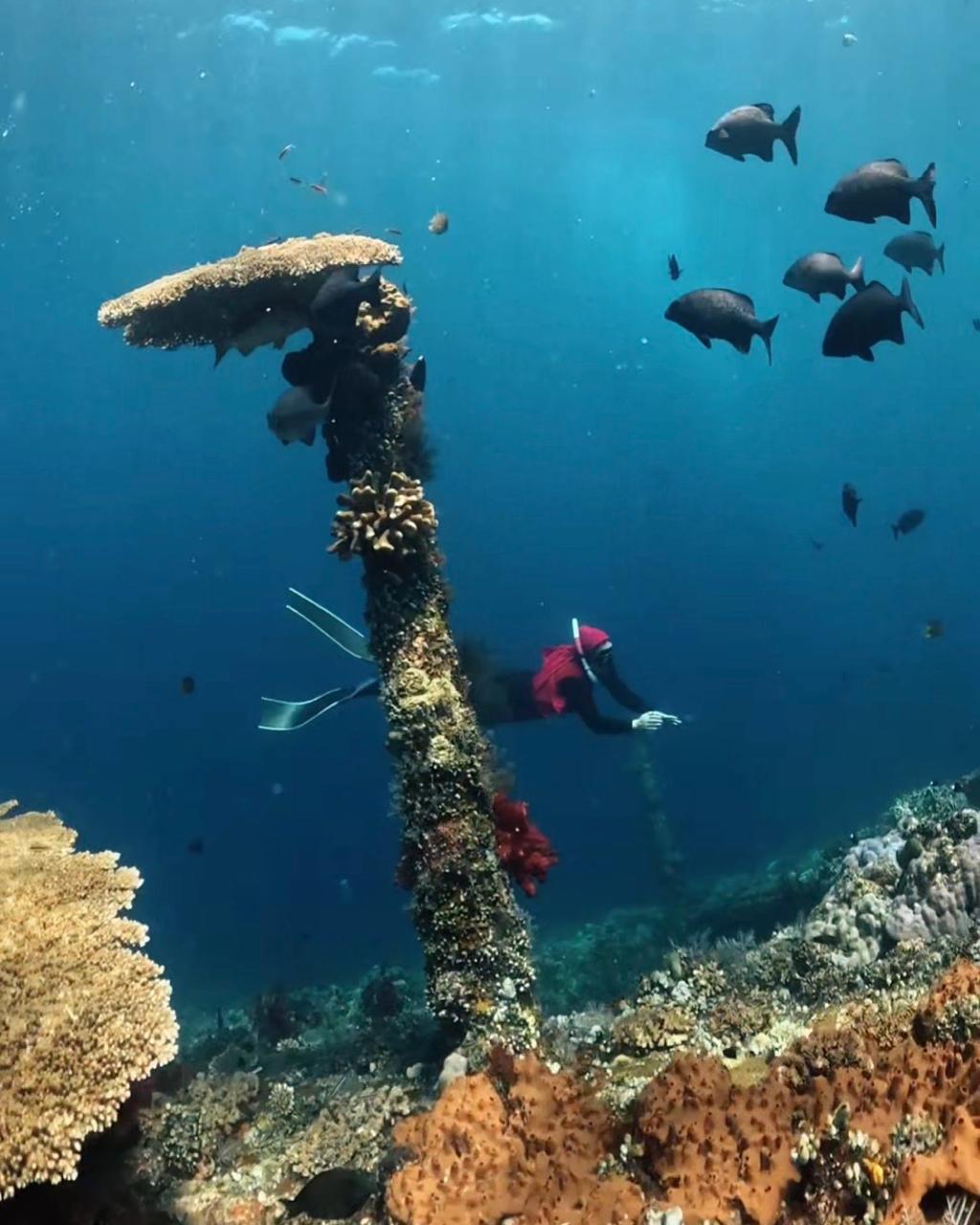 USAT Liberty Shipwreck
