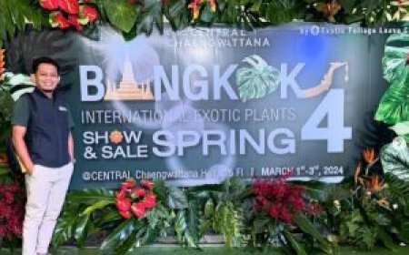 Kisah Sukses Titik Hijau: Dari Instagram ke Pasar Global