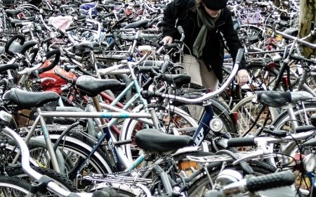 Sepeda Kayuh Dalam Kehidupan Sehari-hari Warga Belanda