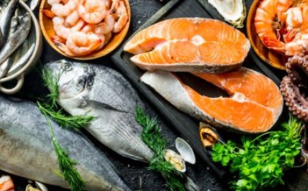 Potensi Ekspor Perikanan Indonesia ke Jepang