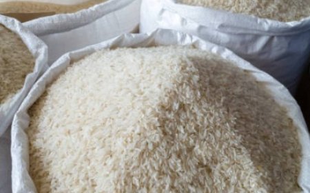 Zulkifli Hasan Umumkan Penghentian Impor Pangan 2025