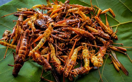 Tradisi Kuliner Ekstrem di Indonesia