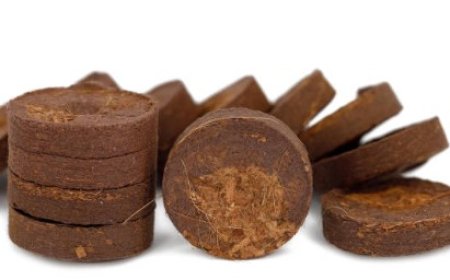 Cocopeat: Dari Limbah Kelapa Menjadi Produk Bernilai Jual Tinggi