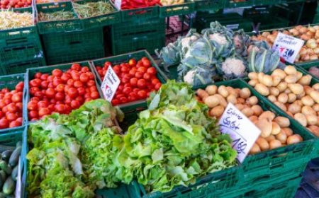 Peran dan Tantangan Eksportir Komoditi Pertanian Global