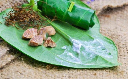 Tradisi Menyirih Dalam Budaya Indonesia