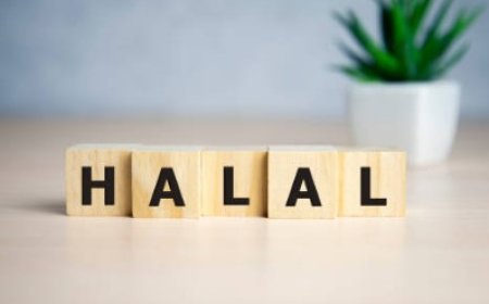 Cara Mendapatkan Sertifikasi Halal bagi UMKM Makanan dan Minuman