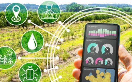 Inovasi Lokal: Startup Agritech yang Mendukung Distribusi Hasil Tani Langsung ke Konsumen