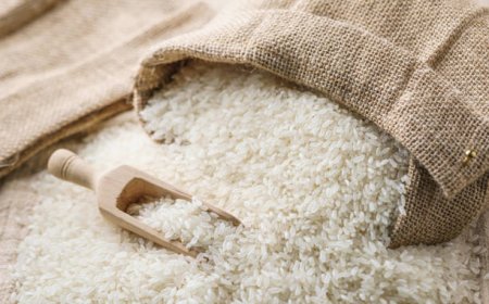 Kebijakan Stop Impor Beras Indonesia Pengaruhi Penurunan Harga Beras Dunia