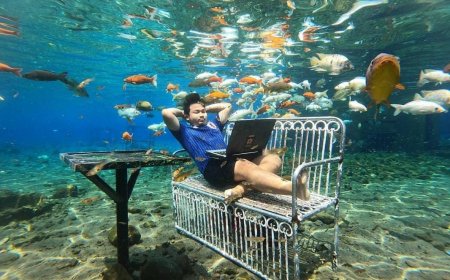 Desa Ponggok: Dari Penghasilan Rp80 Juta Menjadi Miliaran Rupiah Berkat Wisata Air