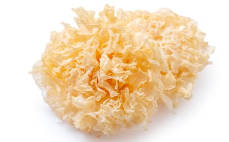 Pai Mu Er (Snow Mushroom): Manfaat dan Efek Samping untuk Kesehatan