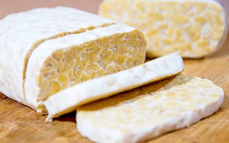 Makan Tempe Mentah, Rahasia Sehat dengan Probiotik Alami!