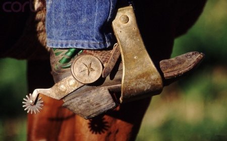 Fungsi dan Sejarah Taji Roda pada Sepatu Koboy (Spurs)