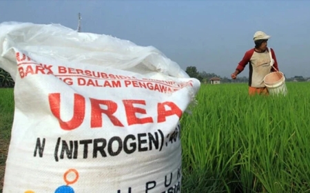 Presiden Prabowo Subianto Berikan Izin Impor Pupuk Subsidi untuk Dukung Petani dan Pembudi Daya Ikan