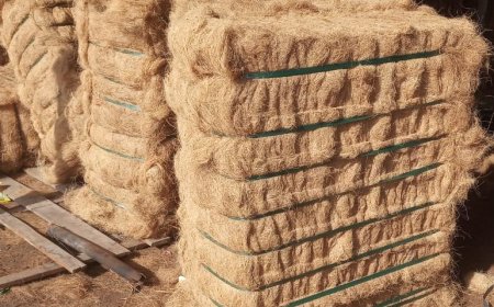 Coco Fiber: Potensi Ekspor Serat Sabut Kelapa ke Pasar Mancanegara