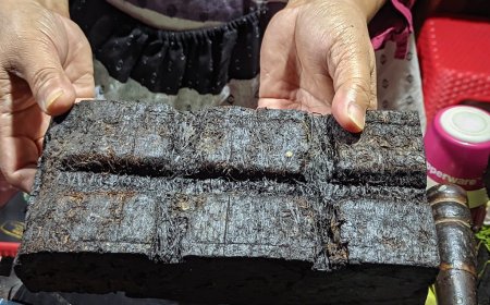 Tembakau Garangan: Cita Rasa Khas yang Mulai Diminati Pasar