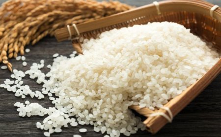 Harga Beras di Jepang Melonjak: Enam Bulan Pasca "Reiwa Rice Riots"