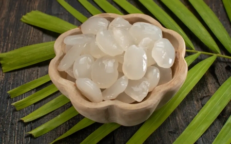 Kolang-Kaling Kaya Kolagen: Segar, Nikmat, dan Penuh Manfaat untuk Kesehatan