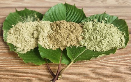 Indonesia Resmi Mengekspor 351 Ton Bubuk Kratom ke Amerika dan Eropa Senilai Rp 17,4 Miliar
