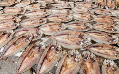 Nasi Panas dan Ikan Asin: Lezat, tapi Bisa Picu Kanker Nasofaring
