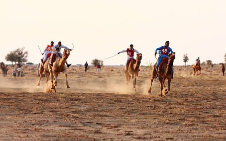 Asian Youth Games 2025 di Bahrain: Balap Unta Jadi Cabang Olahraga Resmi, Apakah Indonesia Akan Ikut?