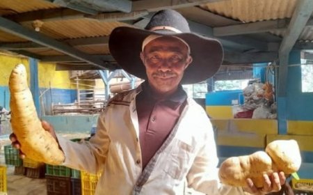 Kisah Inspiratif Suhaya: Kakek 70 Tahun dari Sumedang yang Sukses Menjadi Eksportir